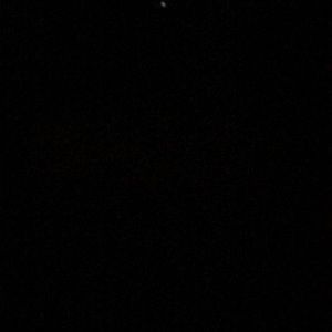 Meet your Posher, Katy